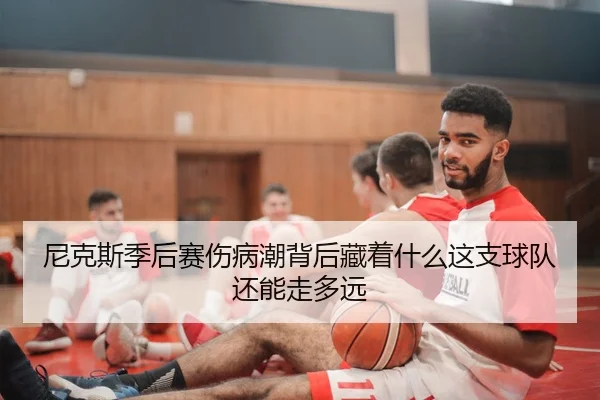 尼克斯季后赛伤病潮背后藏着什么这支球队还能走多远